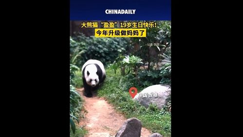 中國日報 信息網絡傳播視聽節目的規范與發展